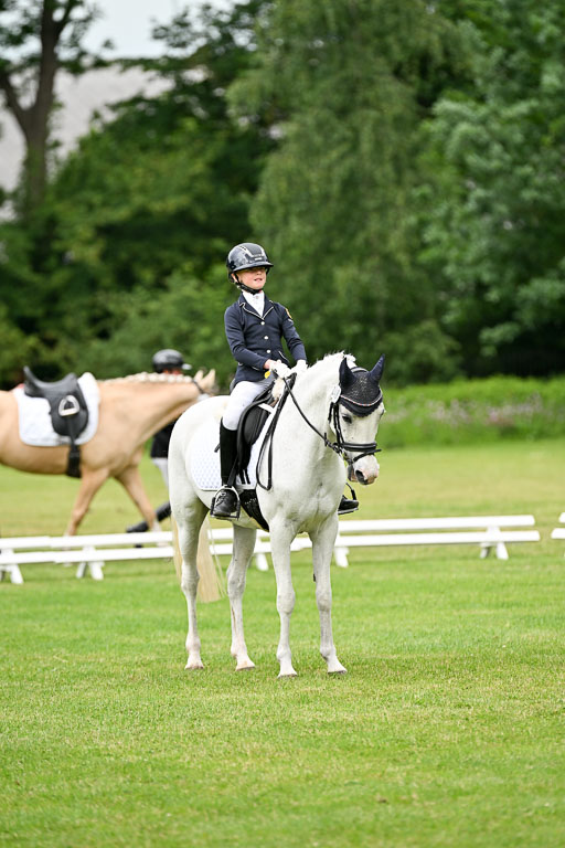  | 30052025 Dressur  (1170) 