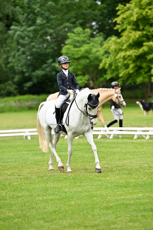  | 30052025 Dressur  (1171) 