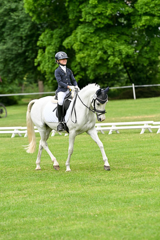  | 30052025 Dressur  (1172) 