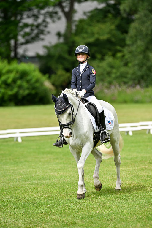  | 30052025 Dressur  (1174) 