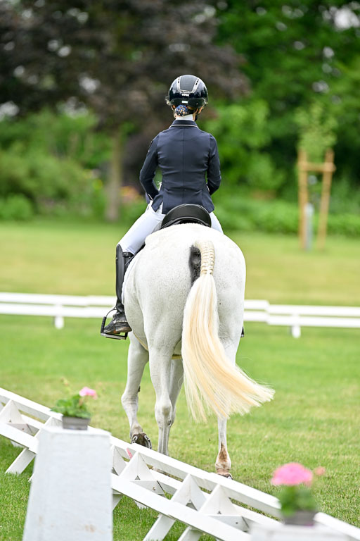  | 30052025 Dressur  (1184) 