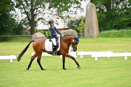  | 30052025 Dressur  (1185) 