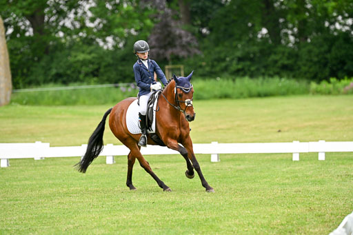  | 30052025 Dressur  (1186) 