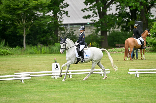  | 30052025 Dressur  (1189) 