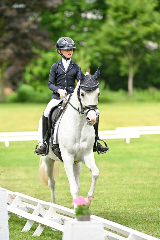  | 30052025 Dressur  (1192) 