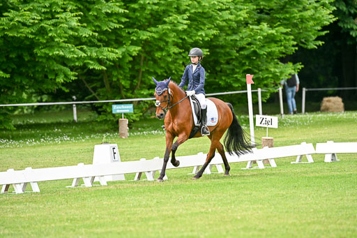  | 30052025 Dressur  (1193) 