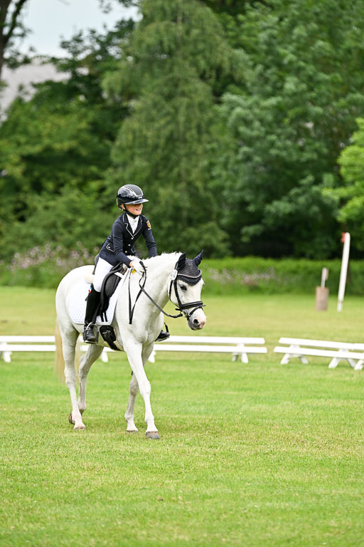  | 30052025 Dressur  (1198) 