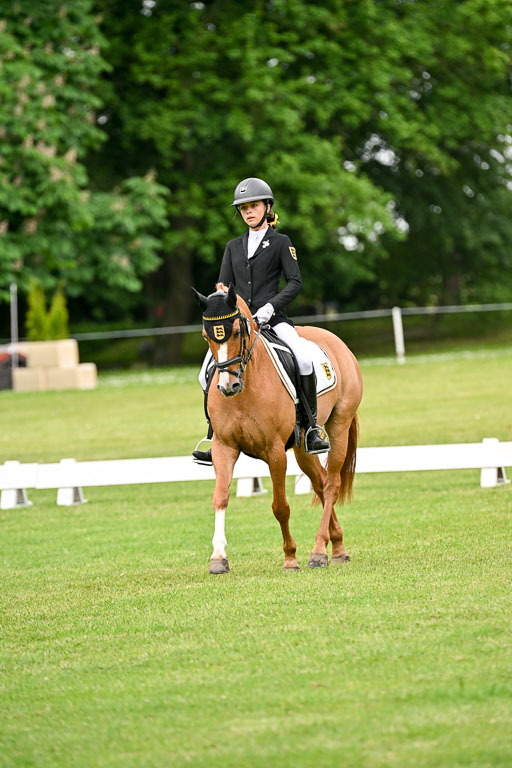  | 30052025 Dressur  (1216) 