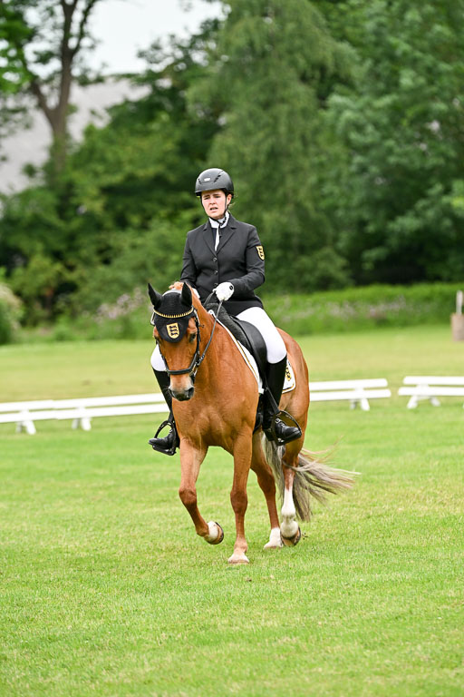  | 30052025 Dressur  (1221) 