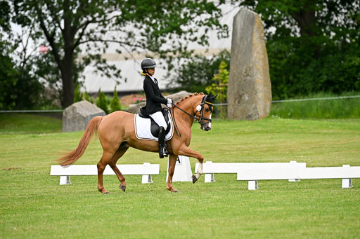  | 30052025 Dressur  (1222) 