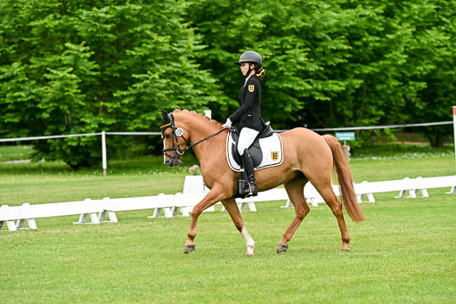  | 30052025 Dressur  (1225) 