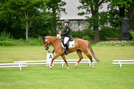  | 30052025 Dressur  (1227) 
