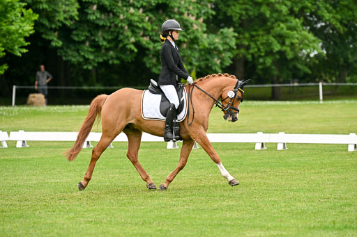  | 30052025 Dressur  (1230) 