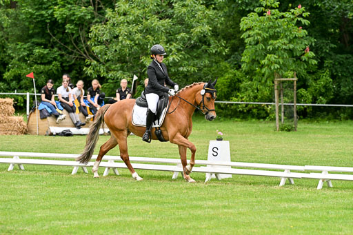  | 30052025 Dressur  (1235) 