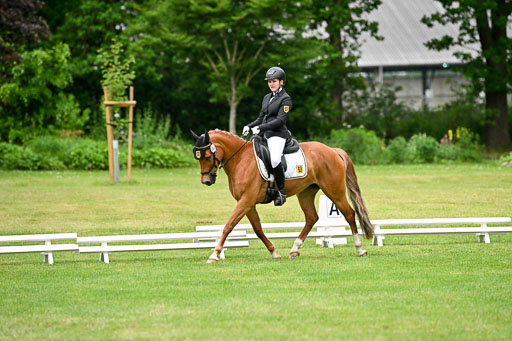  | 30052025 Dressur  (1236) 