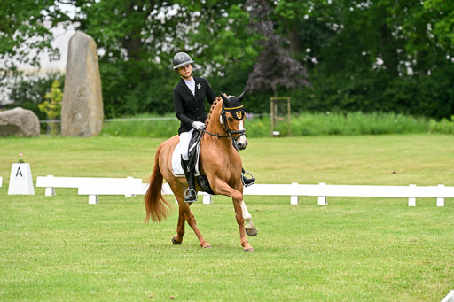 | 30052025 Dressur  (1239) 