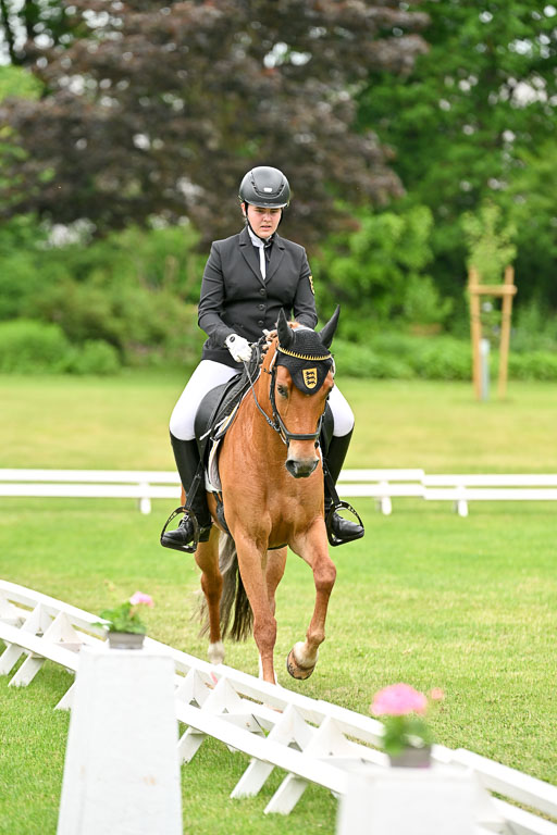  | 30052025 Dressur  (1241) 