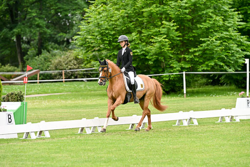  | 30052025 Dressur  (1244) 