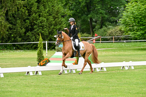  | 30052025 Dressur  (1245) 