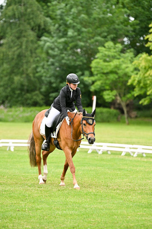  | 30052025 Dressur  (1246) 