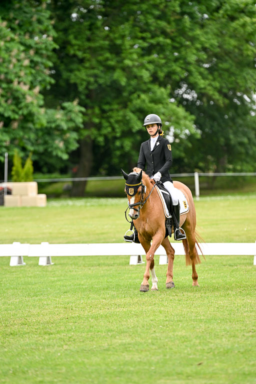  | 30052025 Dressur  (1247) 