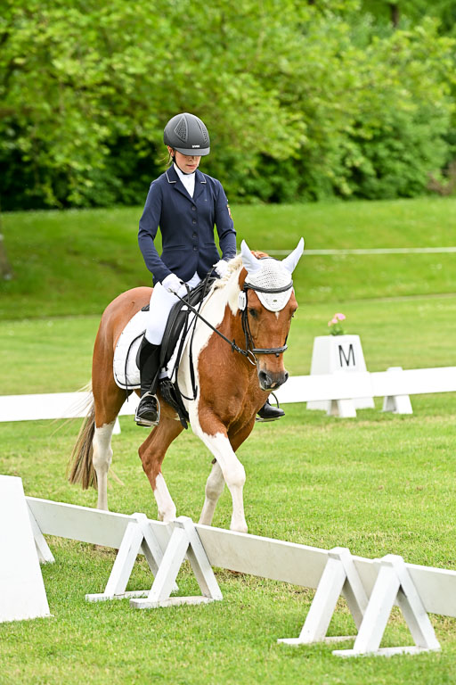  | 30052025 Dressur  (1252) 