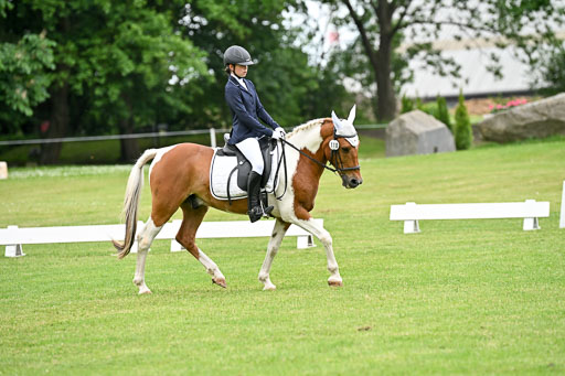  | 30052025 Dressur  (1259) 