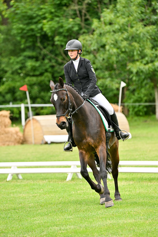  | 30052025 Dressur  (1260) 