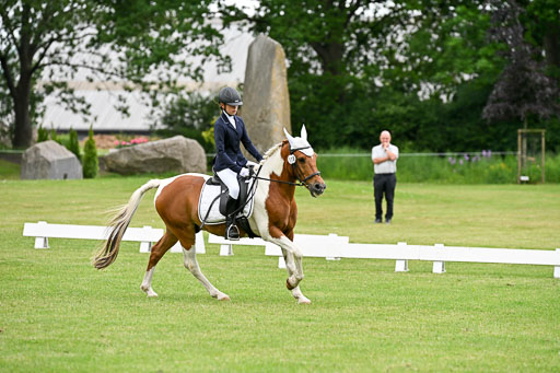  | 30052025 Dressur  (1262) 