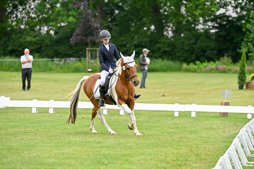  | 30052025 Dressur  (1264) 