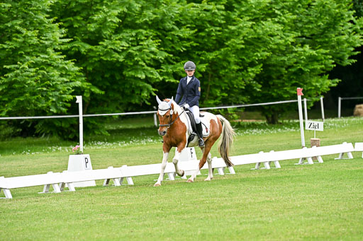  | 30052025 Dressur  (1269) 