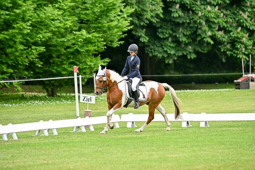  | 30052025 Dressur  (1271) 