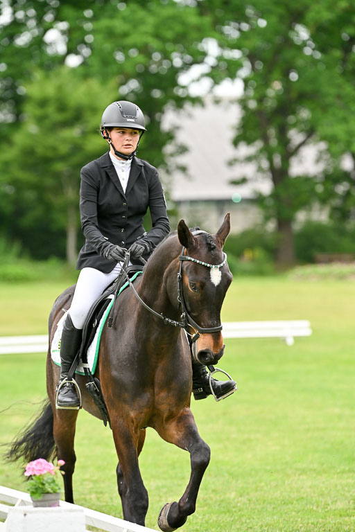  | 30052025 Dressur  (1278) 