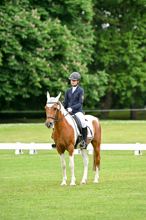  | 30052025 Dressur  (1279) 