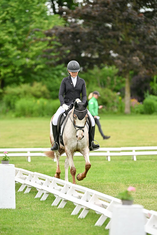  | 30052025 Dressur  (1284) 