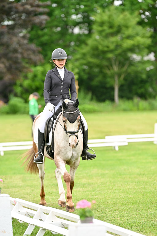  | 30052025 Dressur  (1285) 