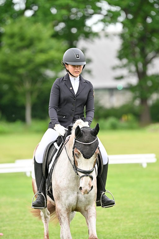  | 30052025 Dressur  (1286) 