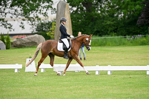  | 30052025 Dressur  (1288) 