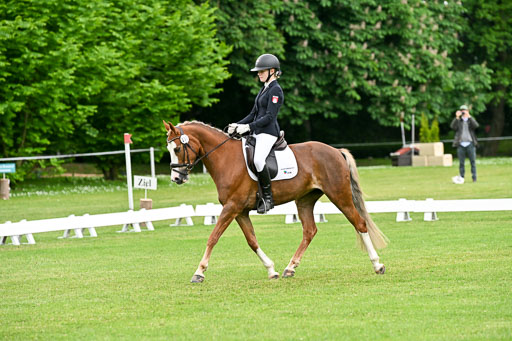  | 30052025 Dressur  (1291) 