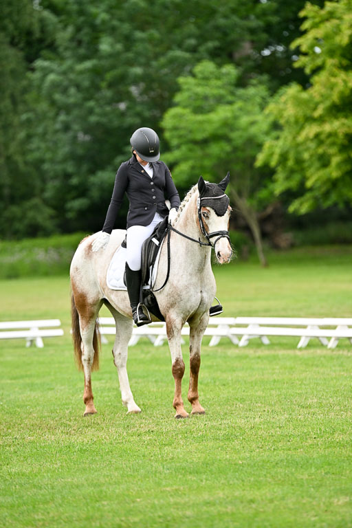  | 30052025 Dressur  (1296) 