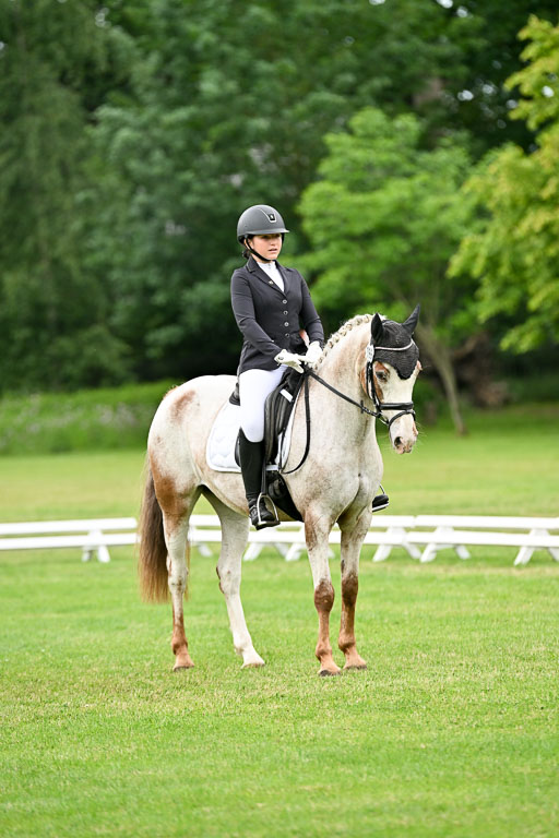  | 30052025 Dressur  (1297) 