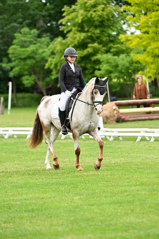  | 30052025 Dressur  (1298) 