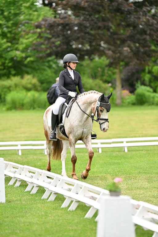  | 30052025 Dressur  (1301) 