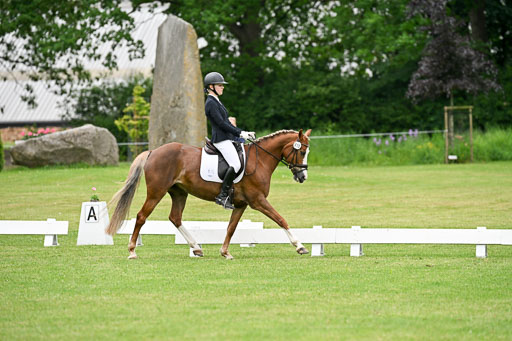  | 30052025 Dressur  (1302) 