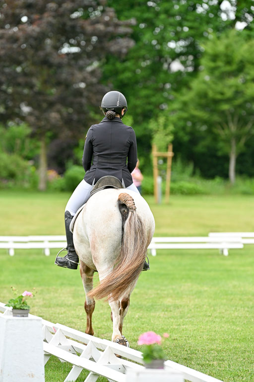  | 30052025 Dressur  (1305) 