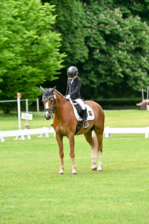  | 30052025 Dressur  (1344) 