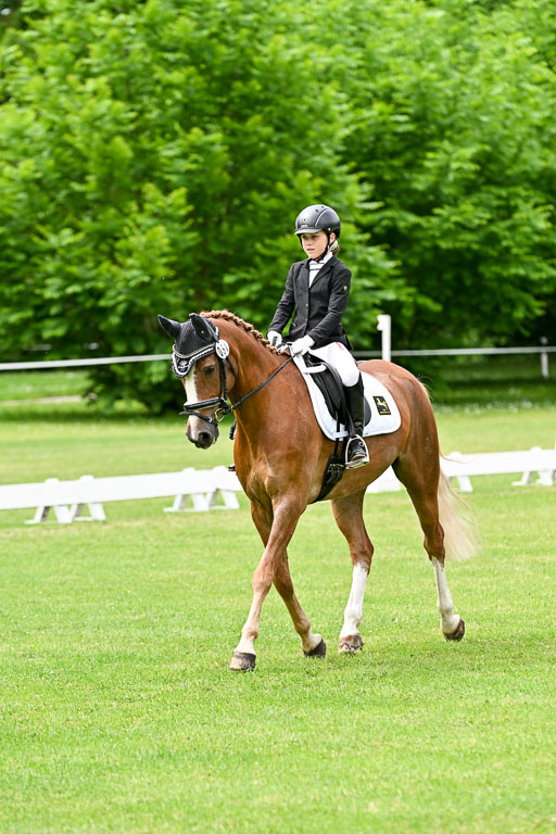  | 30052025 Dressur  (1346) 