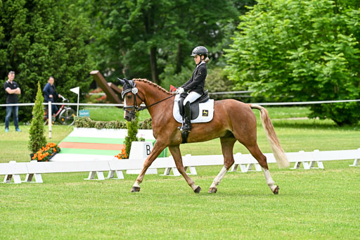  | 30052025 Dressur  (1350) 