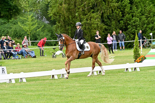  | 30052025 Dressur  (1370) 