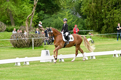  | 30052025 Dressur  (1371) 